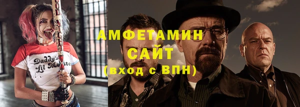 шишки Слюдянка