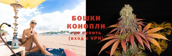 шишки Слюдянка