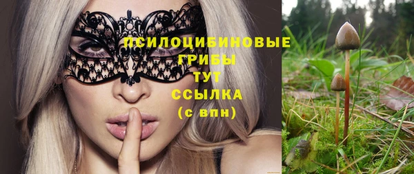 шишки Слюдянка