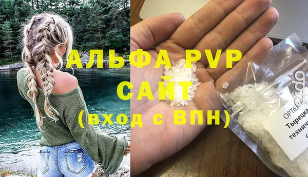 шишки Слюдянка