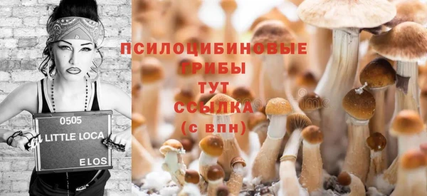 2c-b Елабуга