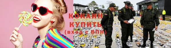 шишки Слюдянка