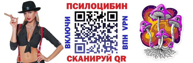 Галлюциногенные грибы Psilocybe  маркетплейс официальный сайт  Судак  цена  