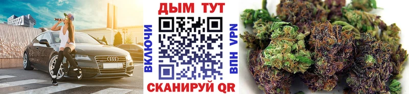 Бошки марихуана ГИДРОПОН  Судак 